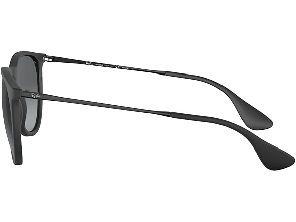 Ray-Ban RB4171 Erika Round Sunglasses