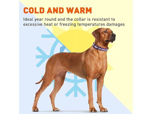 Dogline Biothane Translucent Reflective Wate