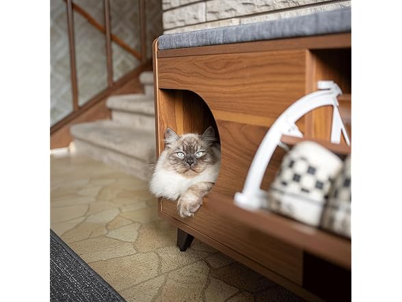 4 Cats & Dogs Tucker Shoe Cabinet