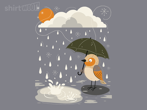 Raindrops and a Little Bird - Gallery 2