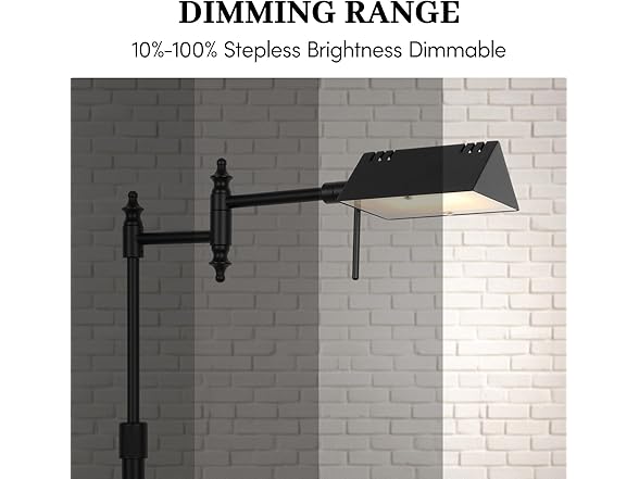 Bairth Dimmable Pharmacy Floor Lamp