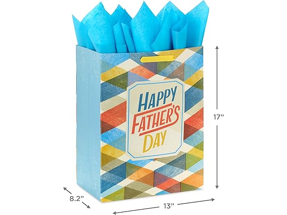Hallmark 17" Father's Day Gift Bag
