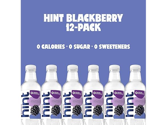 1CT Hint Flavored Water, Blackberry, 16 Fl Oz