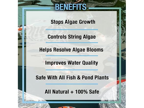 MICROBE-LIFT Algaway 5.4 Treatment