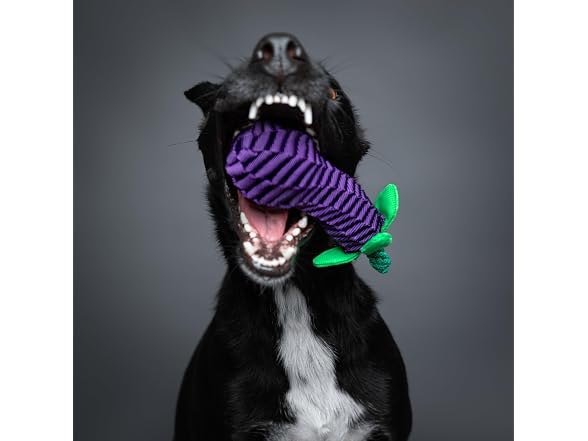 NOAH & PAW Luxury Dog Toy, Eggplant