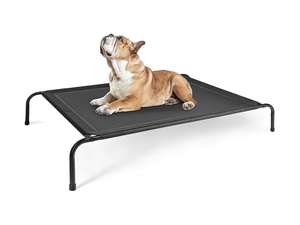 Simple Deluxe Elevated Dog Bed, Black