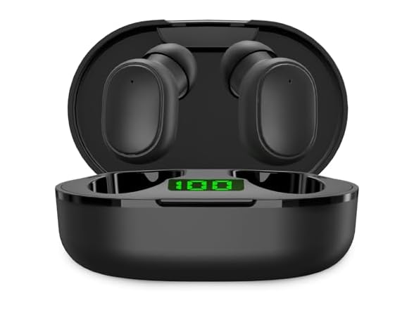USB-C Rechargeable Wireless Earbuds