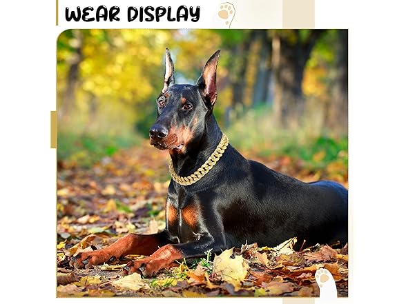 LEIFIDE (2 Pack) Dog Chain Collar Gold