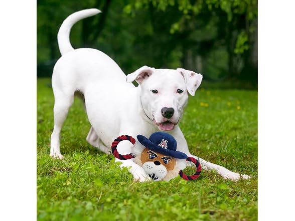 Pets First NCAA University of Arizona Wildcat