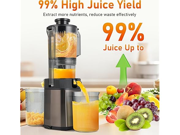 FAB&DELUXE Cold Press Juicer - 34oz