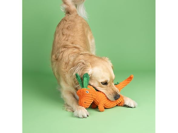 Fringe Studio Plush Dog Toy, Carrot ‘Bout Y
