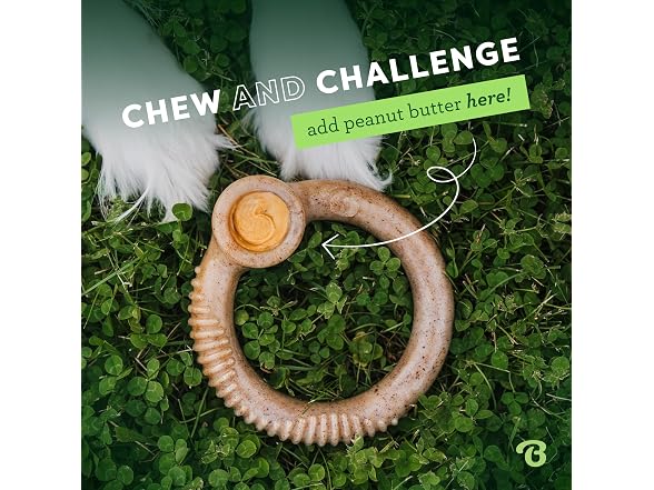 Benebone Ring Durable Dog Chew Toy