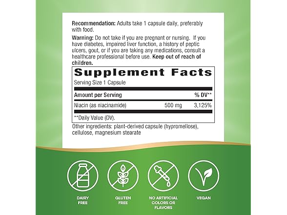 Nature's Way Niacinamide 500mg, 100ct