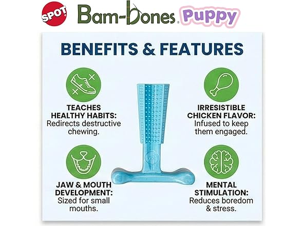 SPOT Bam-Bones Puppy T-Bone Dog Chew Toys, 2PK Blue