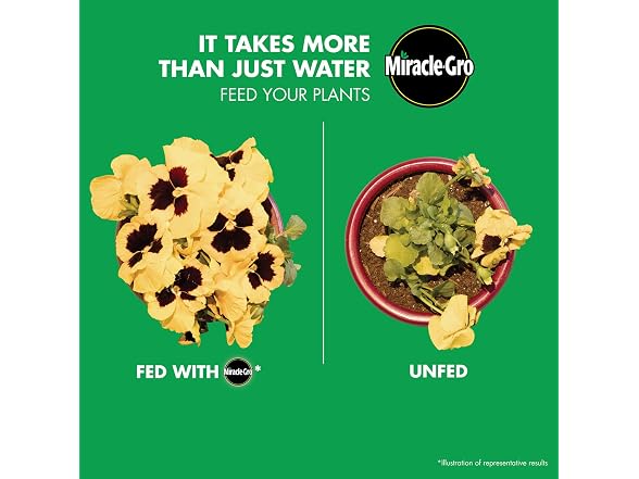 Miracle-Gro All Purpose Plant Food