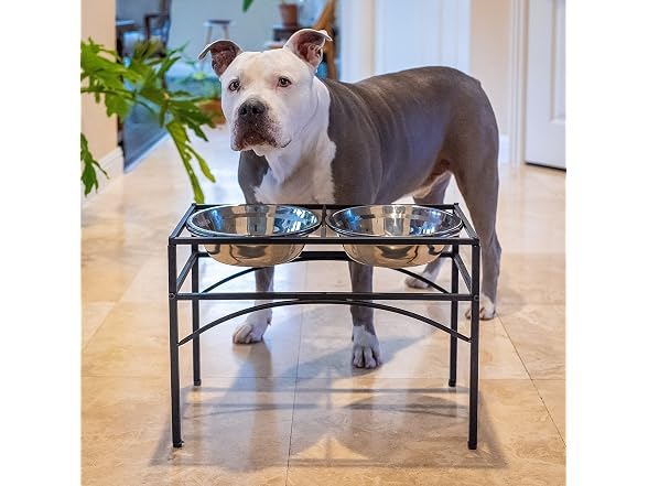 Dazone Elevated Dog Bowls