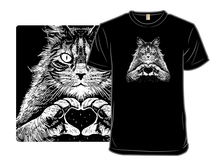 Maine Coon Affection - Gallery 8