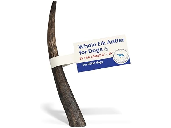 The Proper Hound Whole Elk Antlers for Dogs Sz XL
