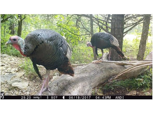 Browning Trail Cameras Dark Ops Pro X 1080