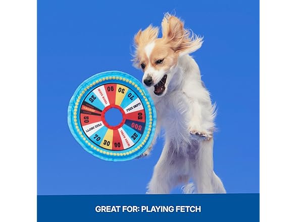 Barkbox Fetch N' Win Wheel Dog Toy | Fluff