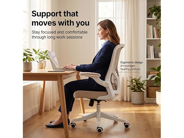 Ergonomic Office Desk Chair High Back