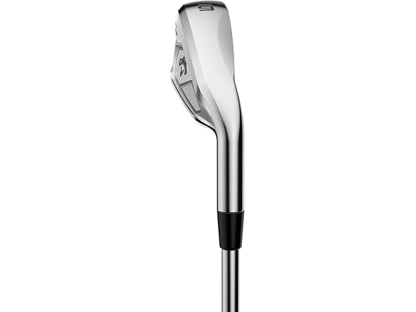 Callaway Elyte Max Fast Iron Sets, 7-PW,AW, Graphite, R2, Standard (Right Hand)