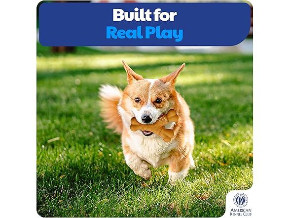 AKC Training Dog Chew Toy, Nylon Y-Shaped Bone