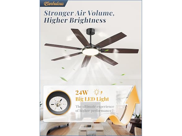 Fanbulous Black 62” Ceiling Fan with Lights