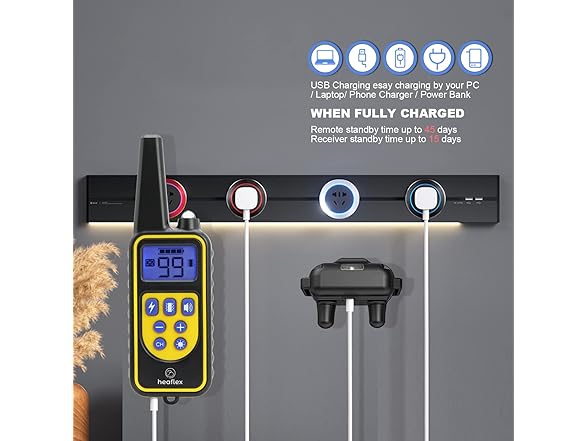 Safe Training E-Collar for Dogs Black