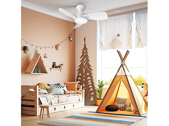 Consciot Ceiling Fan With Lights 30 Inch