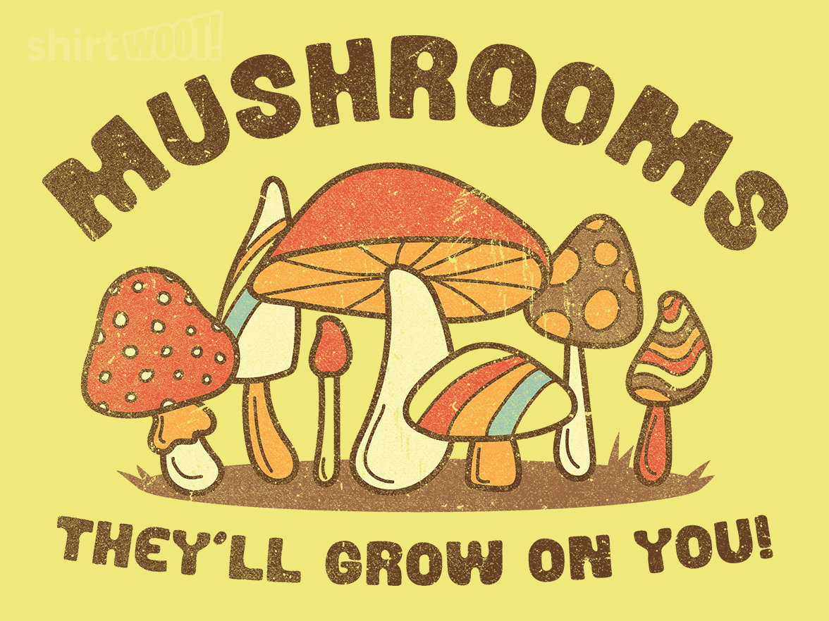 Mushrooms Grow On You - Gallery 4