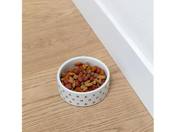 Fringe Studio Speckled Block Bone Small Ceramic Pet Bowl