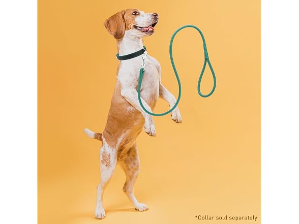 Dogline Rolled Leather Dog Leash - for Small