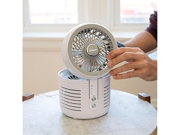 Crane 2-in-1 Air Purifier and Desk Fan