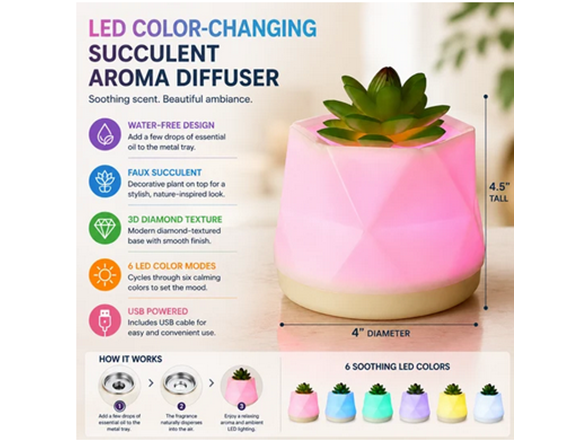 LED Color-Changing Water-Free Succulent Aroma Diffuser