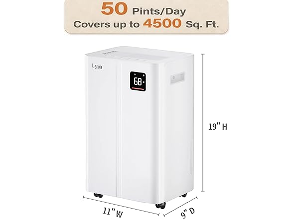 Lienuis Dehumidifier for Basement