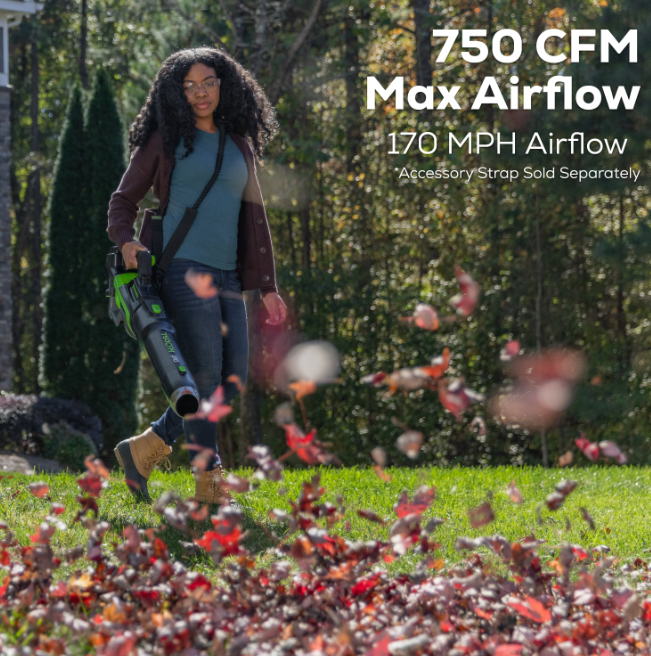 Greenworks 80V 750CFM Cordless Battery Leaf Blower - Gallery 16