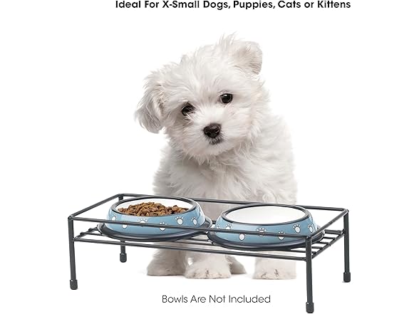 PetRageous Gizmo's Set The Table Steel Frame Dog Feeder