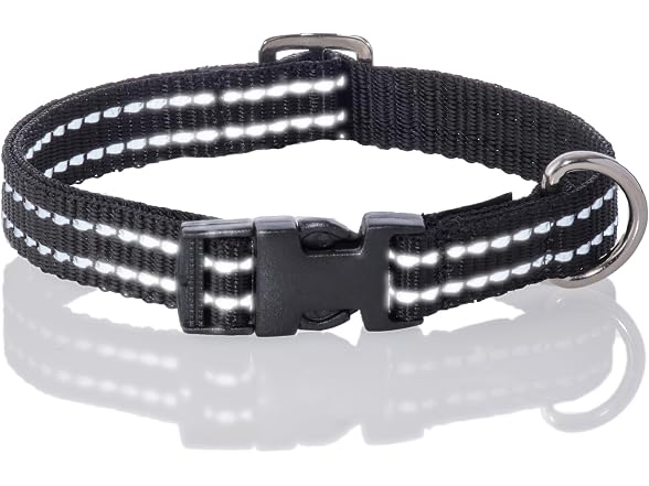 Pet Passion 2-Pack MAX - The Hardy Reflective Collar - Gallery 5