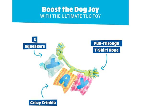 BarkBox Happy Yay Banner Dog Toy - Toy