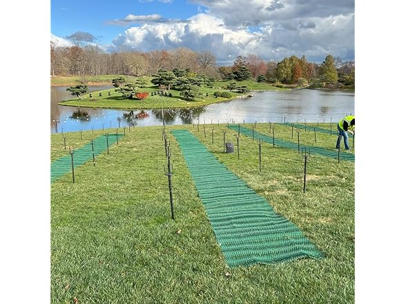 RutGuard Grass Protection Mesh - 3'x50'