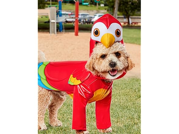 Rubies Parrot Pet Costume for Dogs or Cats, L