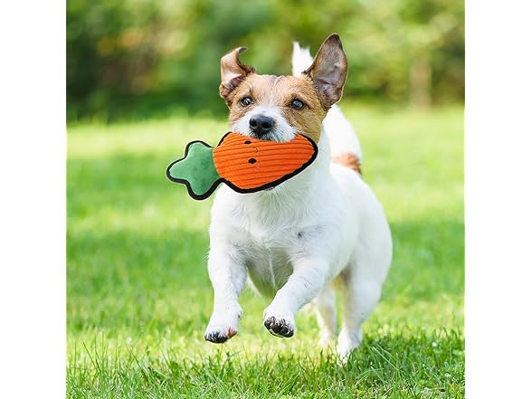 Linzy Plush Durable Carrot Crinkle Pet Toy