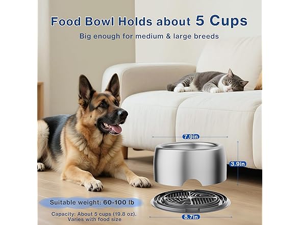 UPSKYPET 304 Stainless Steel Dog Bowl