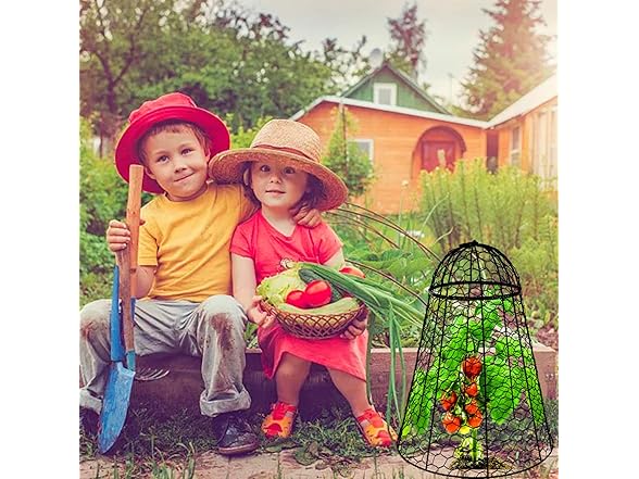 Sapbontchi XL Garden Cloches 6-Pack