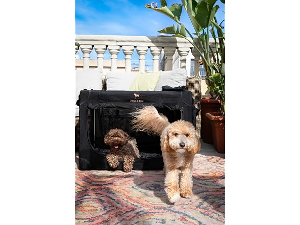 NOAH & PAW Collapsible Dog Crate