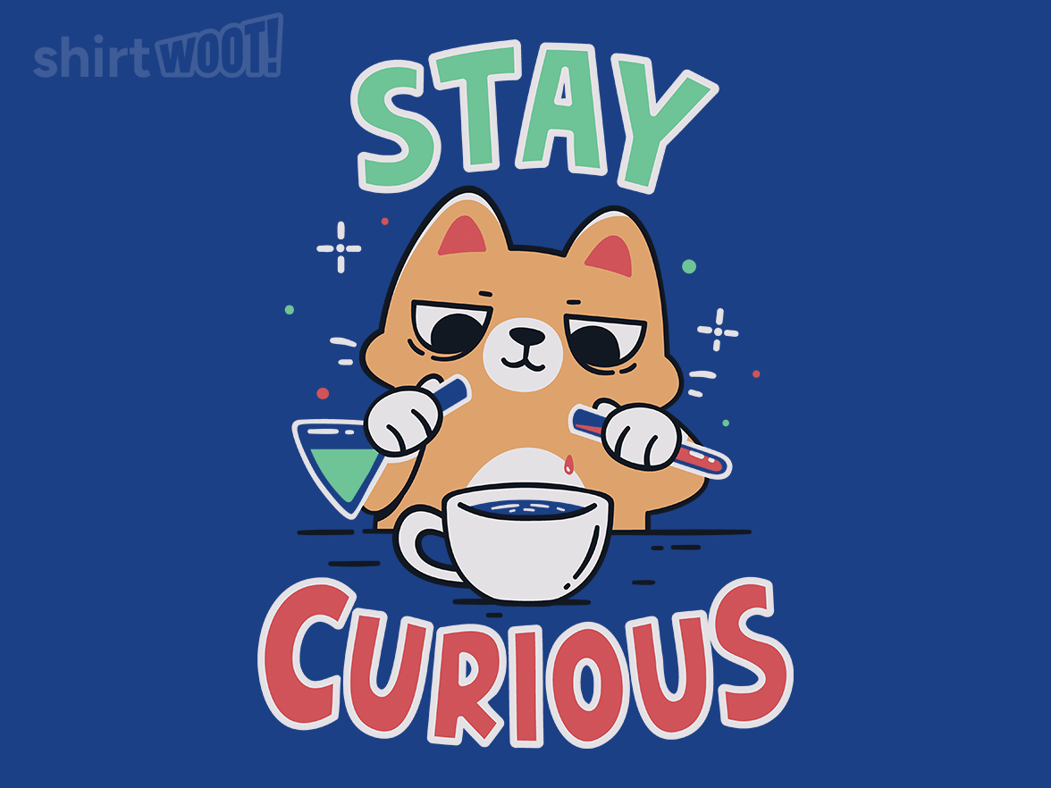 Staying Curious - Gallery 8