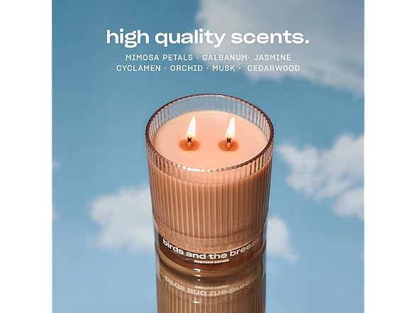 Luxury Scented Candle by Snif