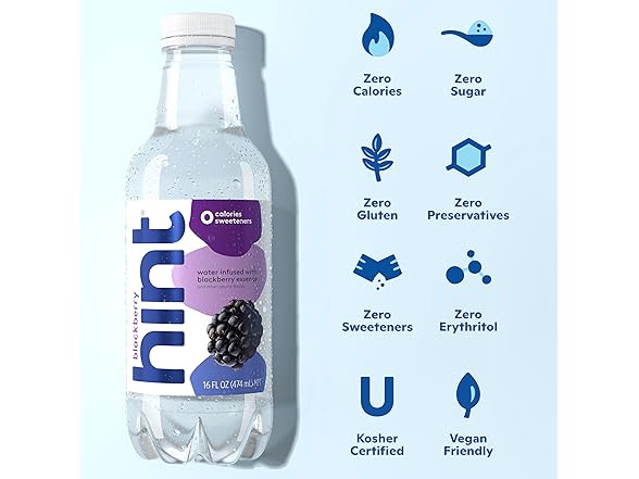 1CT Hint Flavored Water, Blackberry, 16 Fl Oz