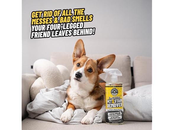 Chemical Guys Pet Mess Cleaning Kit